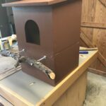 Barred Owl Box